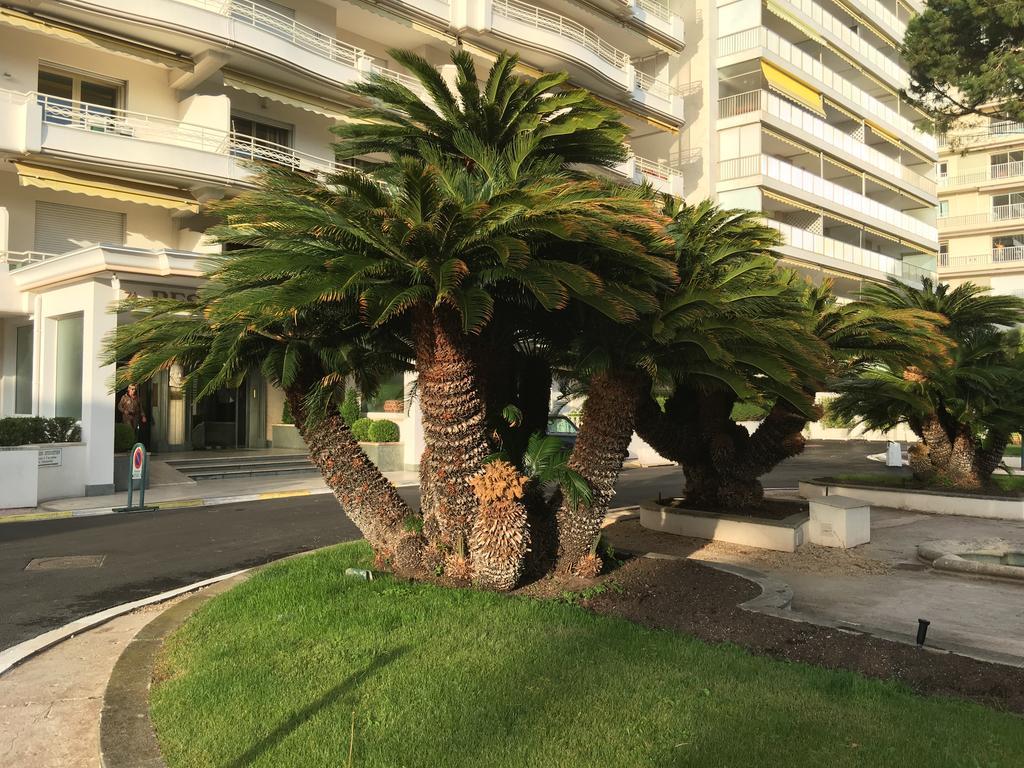 Appartement Cannes Sur Croisette Dış mekan fotoğraf